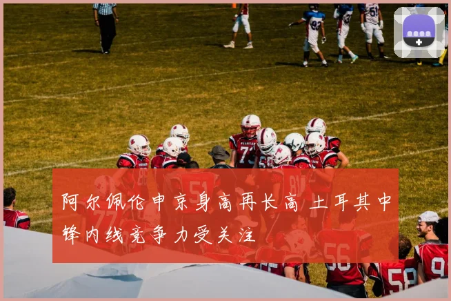 阿尔佩伦申京身高再长高 土耳其中锋内线竞争力受关注